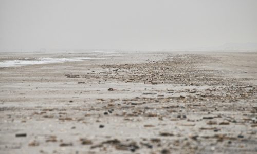Low angle shot of a mudflat almost covered in fog